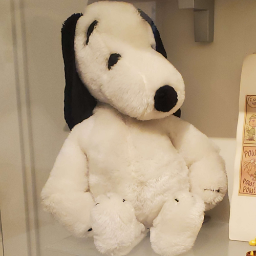 A cuddle-sized fluffy plush of Snoopy, from Peanuts. He is sitting on a glass shelf next to a framed issue of the Peanuts comic.